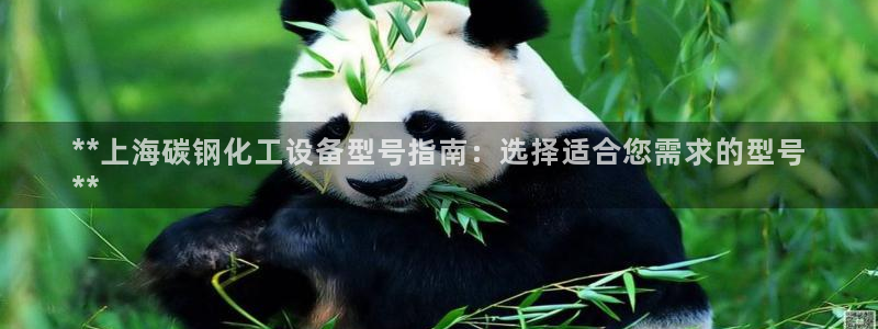 天辰平台测速登录不上怎么回事