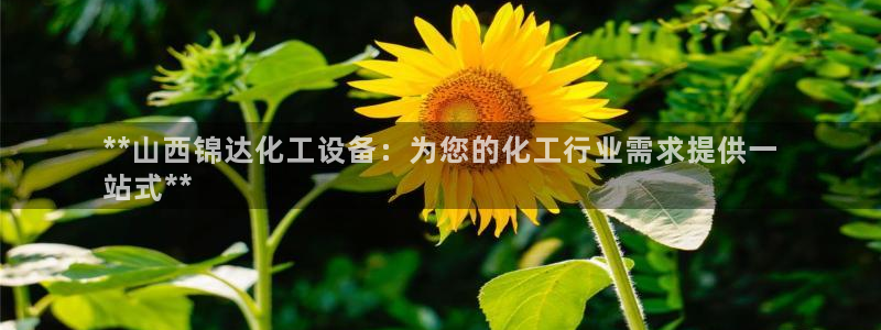 天辰平台推 585341 平台