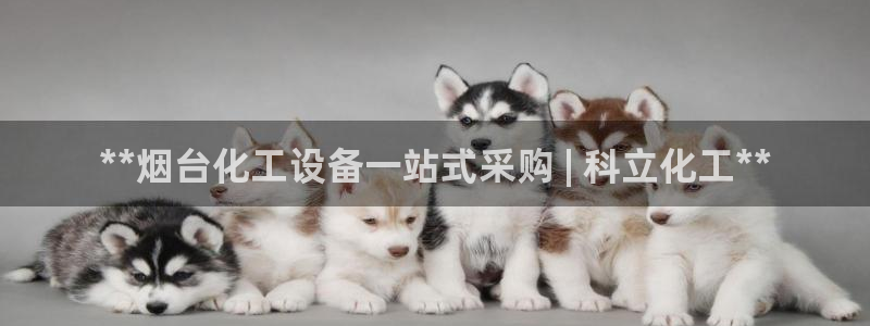 天辰平台注册地址怎么填不了