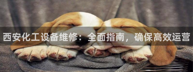 天辰娱乐平台账号注册地址是多少号