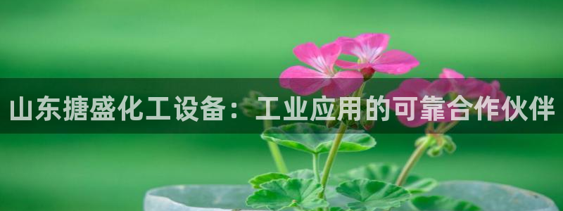 天辰平台用户登录不上怎么办