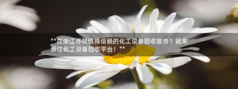 天辰娱乐的老板是谁呀