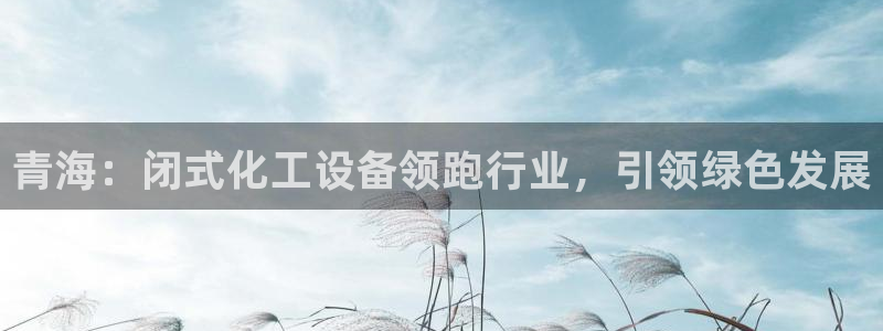 天辰娱乐的老板是谁呀