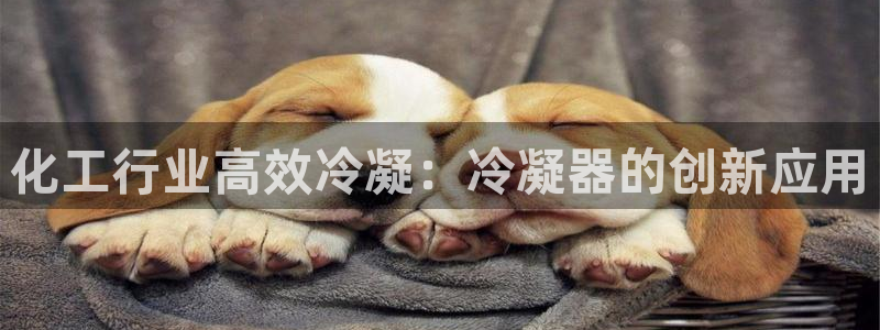 天辰商盟创业平台是真的吗