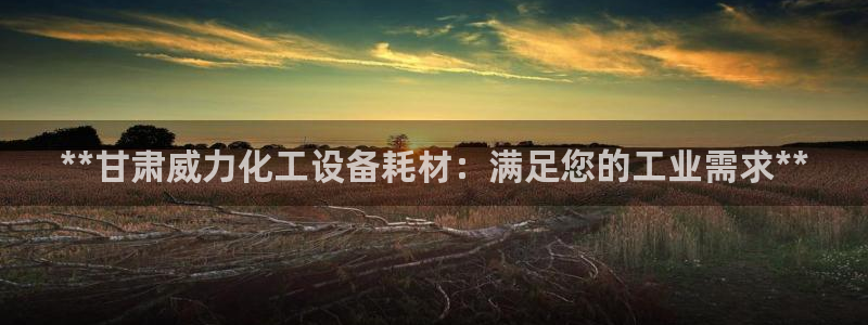 天辰平台测速登录不上怎么回事