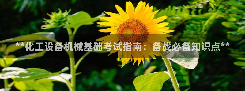 天辰平台测速登录失败