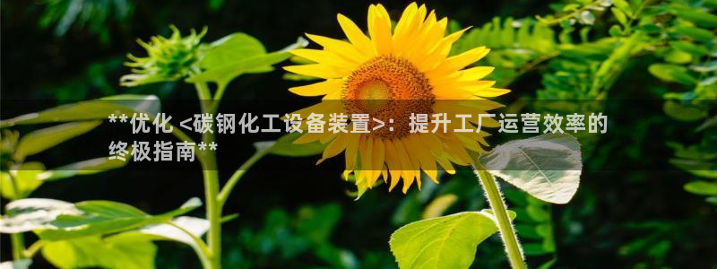 天辰平台你的专属平台在哪里