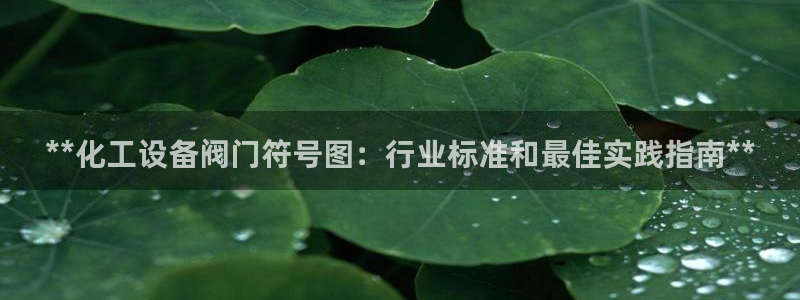 天辰平台木 5O6917 天辰