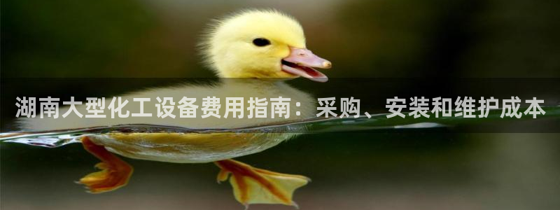 天辰平台用户登录不上
