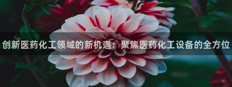 天辰平台联 411O31 平台：创新医药化工领域的