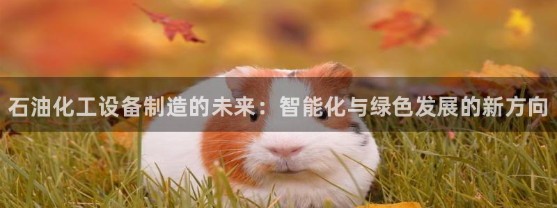 天辰平台专用注册通道安全吗可靠吗