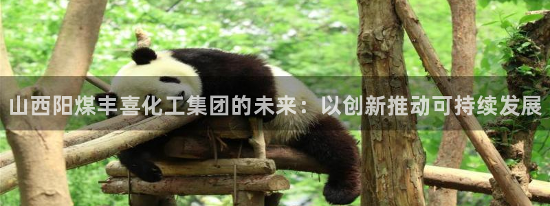 天辰娱乐官网最新公告公示