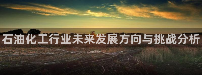 天辰平台障44262